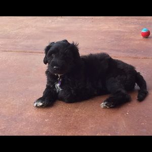 Meet your Posher, Meredith